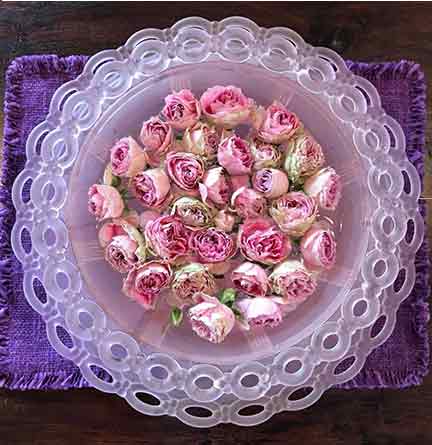 roses